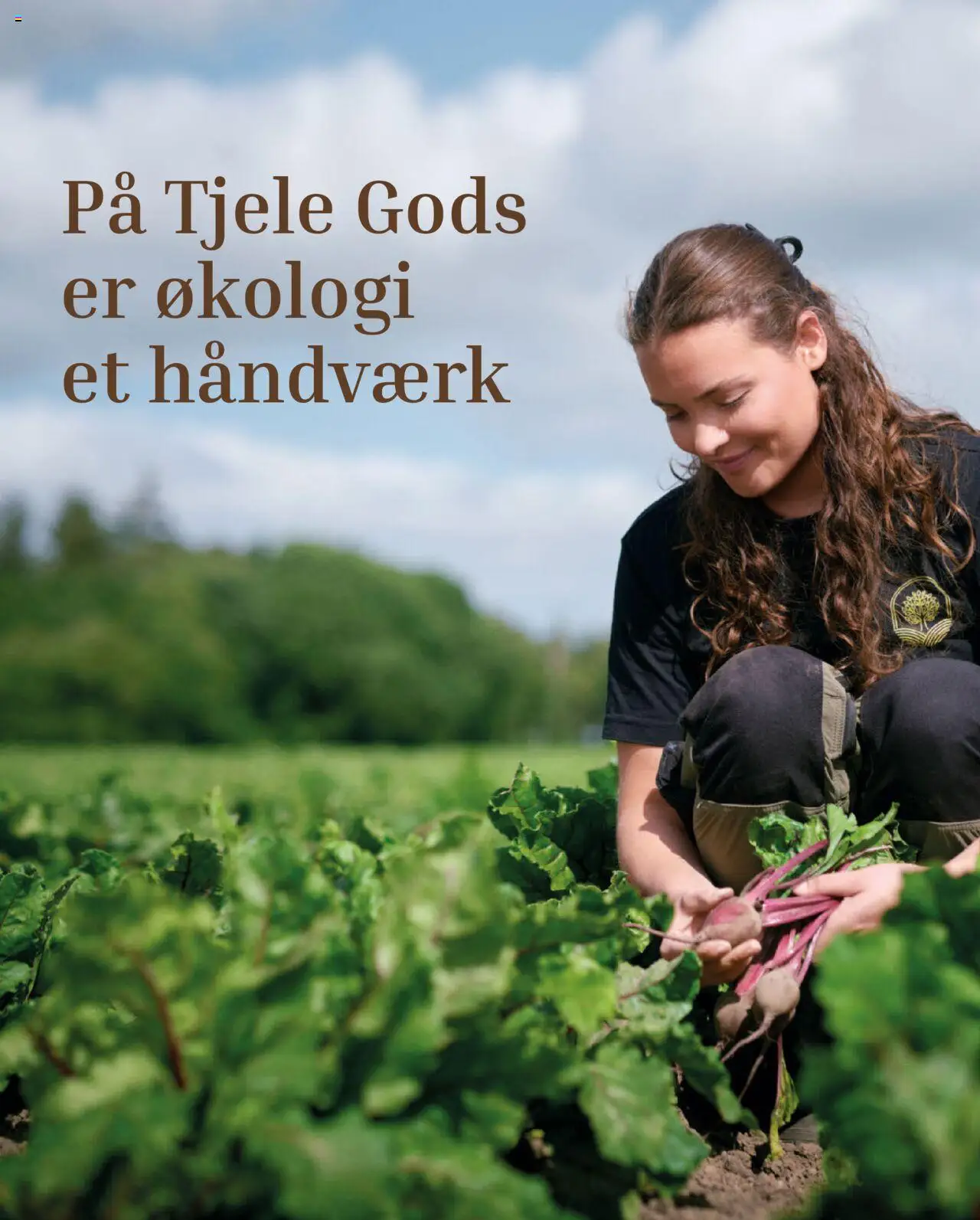 Føtex tilbudsavis – gyldig fra 17.10.2025 | Side: 14