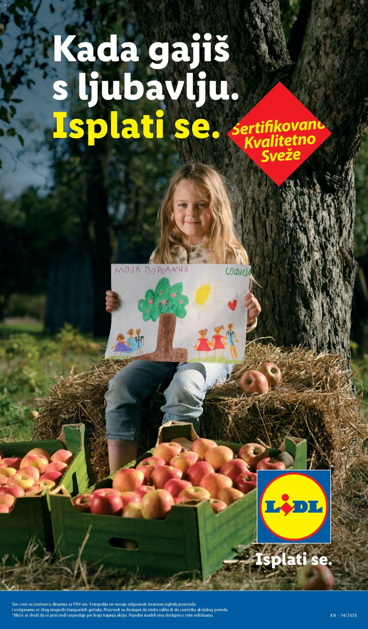 Lidl katalog - važi od 02.04.2026 | Strana: 17
