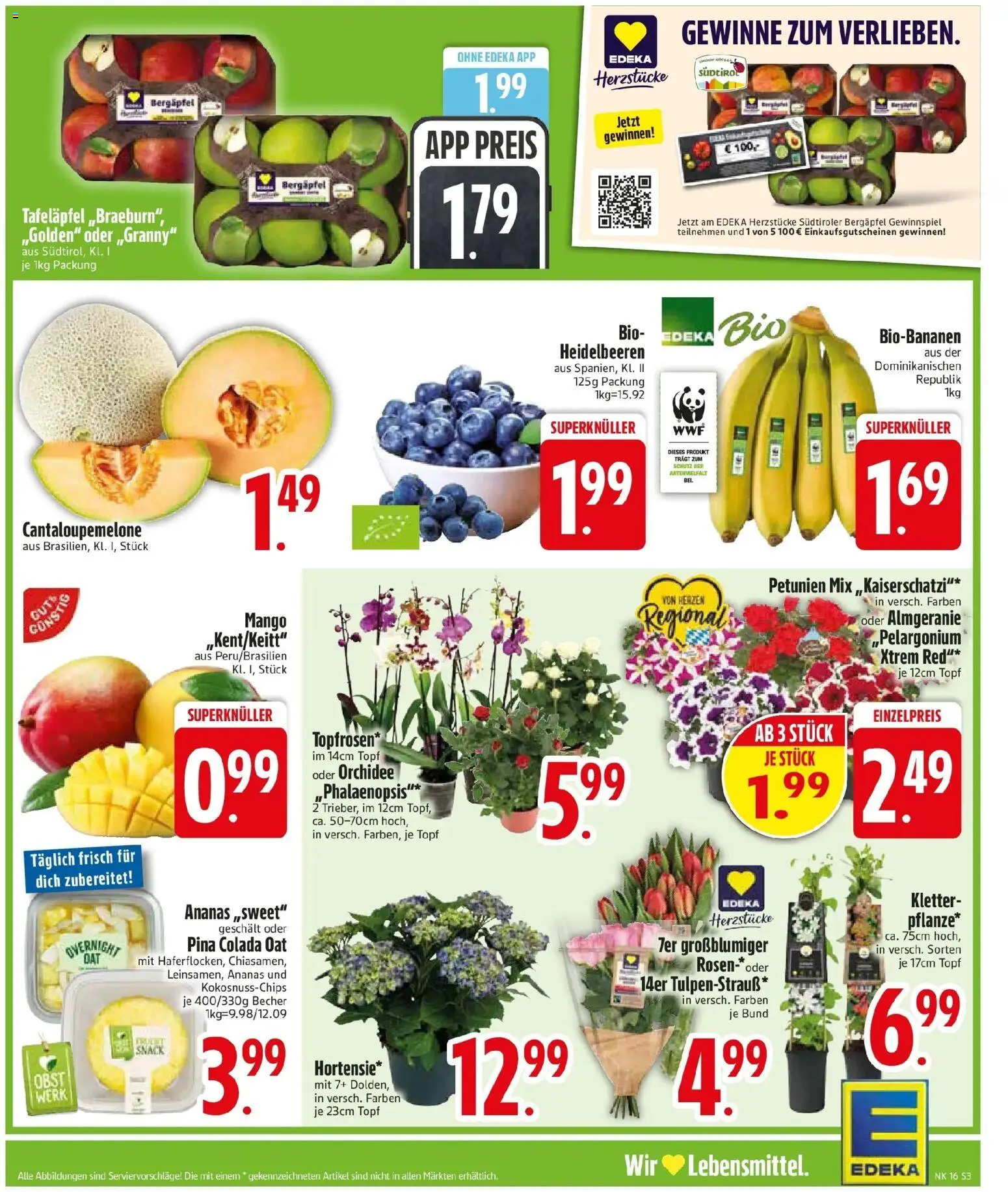 Edeka prospekt München	 – gültig ab 13.04.2026 | Seite: 5 | Produkte: Orchidee, Ananas, Heidelbeeren, Mango
