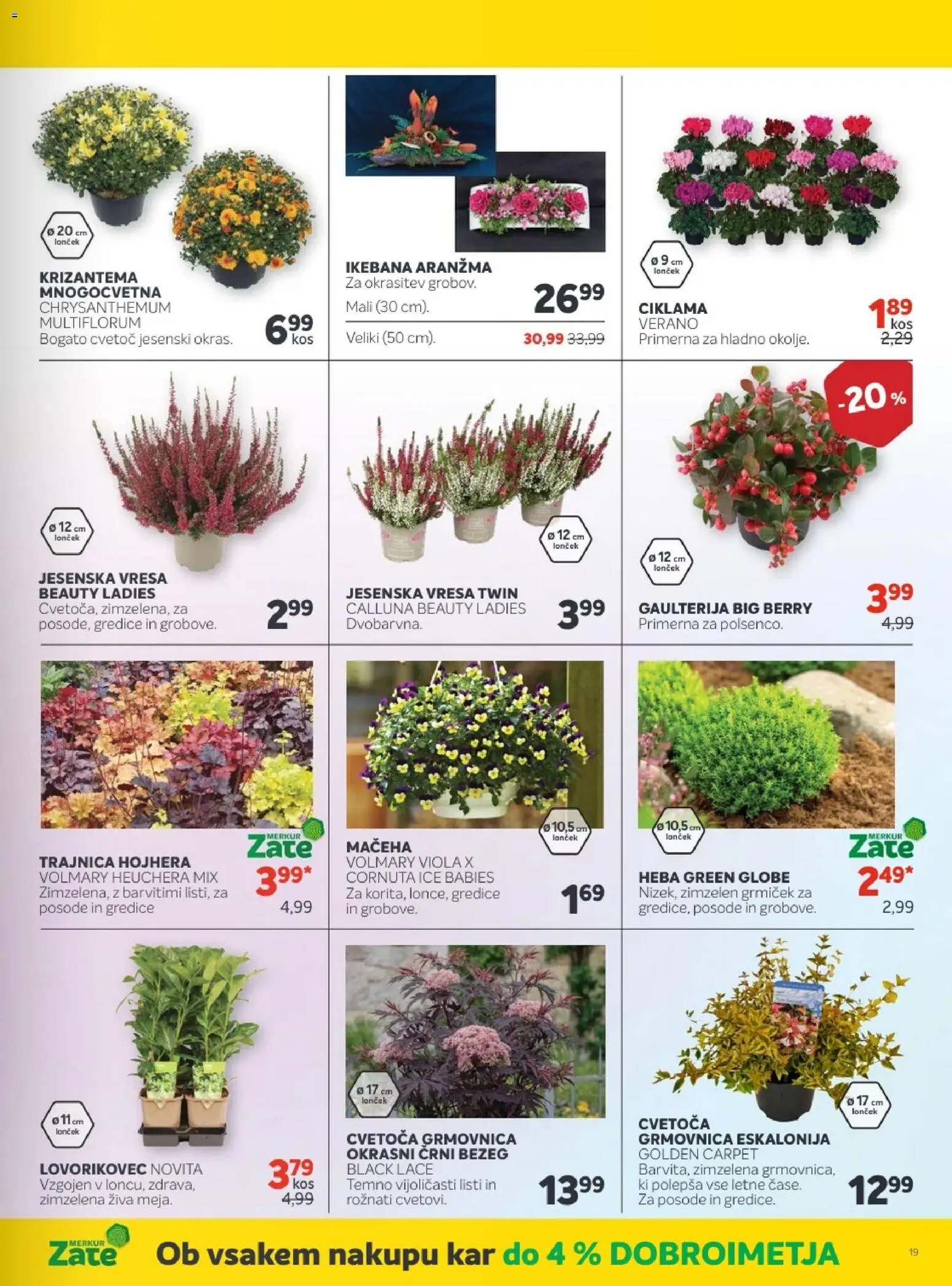 Novi Merkur katalog ponudbe – veljaven od 01.10.2025 | Stran: 41 | Izdelki: Kos