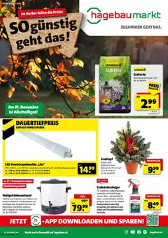 Hagebau Flugblatt ab 21.10.2025 gültig