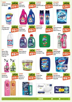 16.04.2026 tarihinden itibaren geçerli olan Biçen Market kataloğu önizlemesi | Sayfa: 8 | Ürünler: Arap sabunu, Şampuan, Sabun, Deterjan
