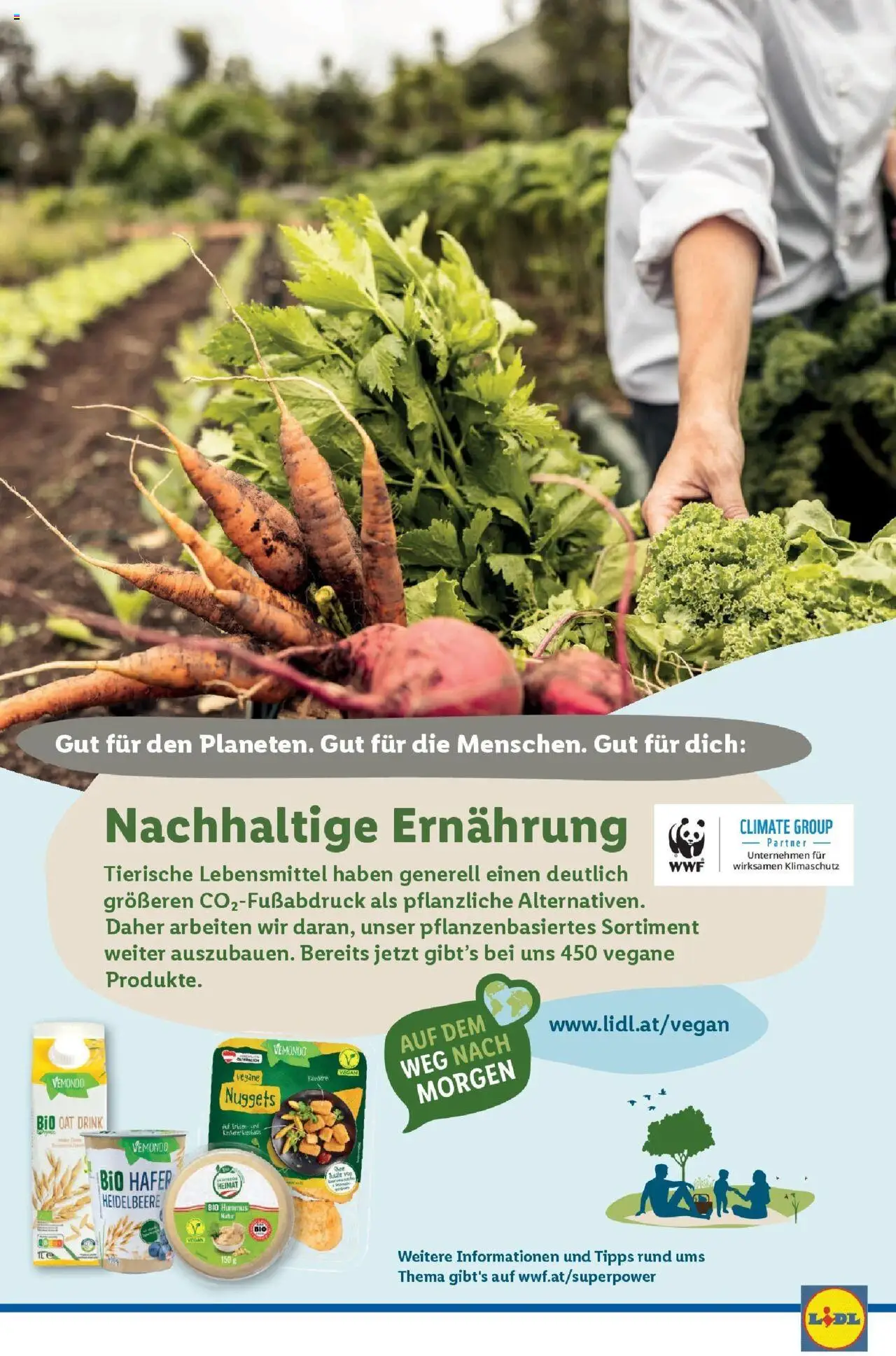 Lidl Flugblatt - Salzburg, Dornbirn, Jenbach gültig ab 02.07.2025 | Seite: 47 | Produkte: Libacomb
