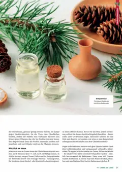 Lagerhaus Fürs Leben am Land ab 01.11.2025 gültig | Seite: 21 | Produkte: Decke