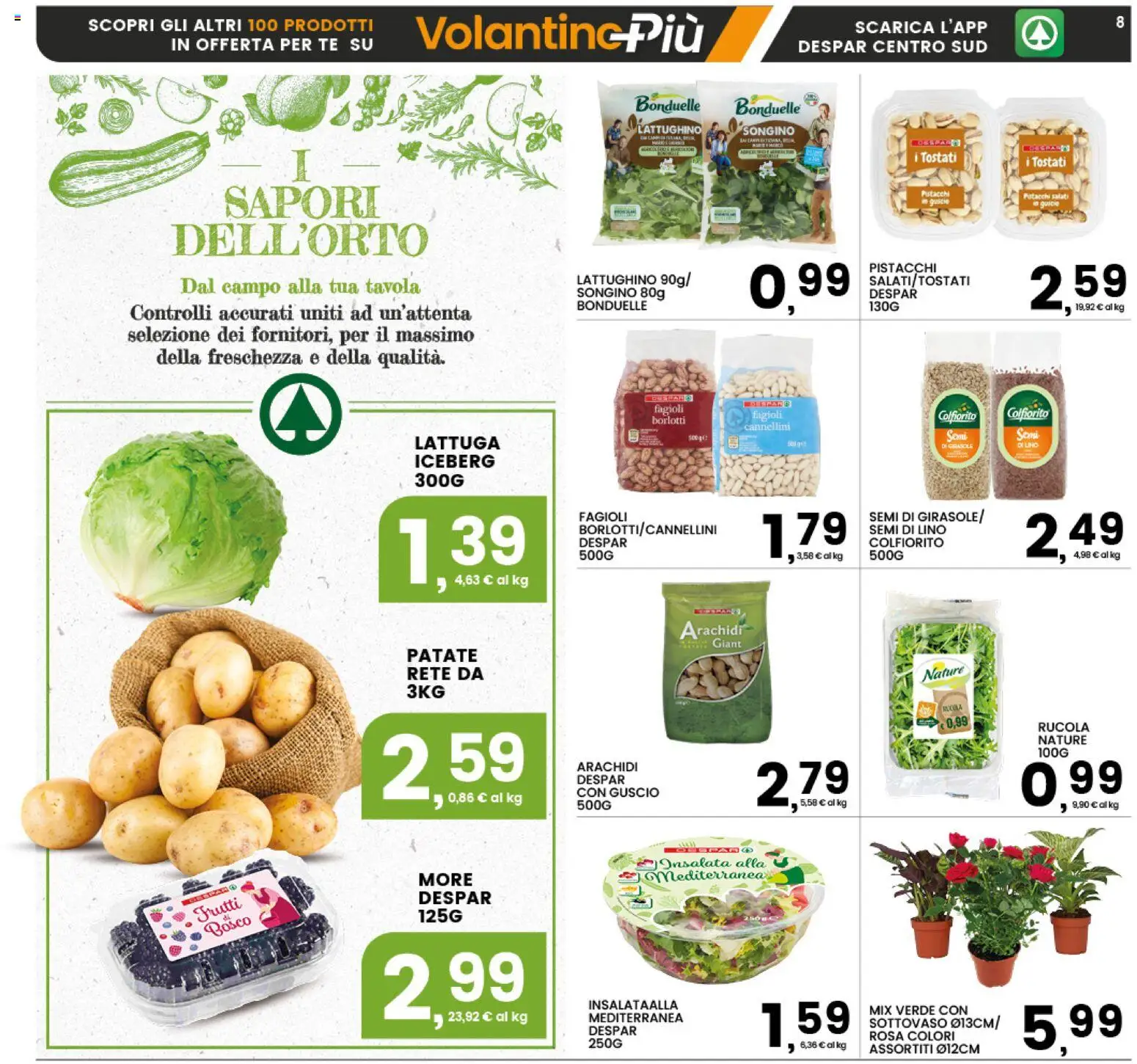 Volantino Interspar del 16.03.2026 | Pagina: 8 | Prodotti: Rucola, Tè, Cannellini, Lattuga