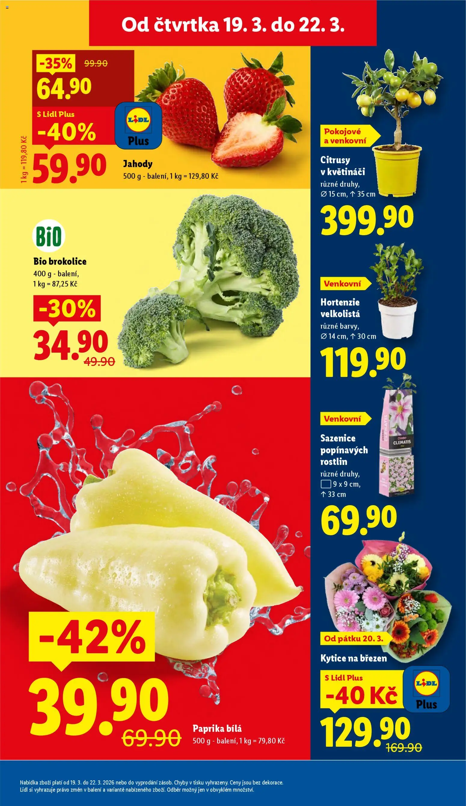 Lidl leták od 19.03.2026 | Strana: 11 | Produkty: Jahody, Brokolice, Kytice, Paprika bílá