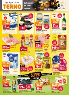 Náhled letáku Terno leták od 19.11.2025