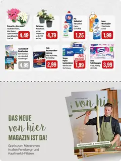 Feneberg Angebote ab 06.11.2025 gültig | Seite: 8 | Produkte: Lenor, Box, Weichspüler, Toilettenpapier
