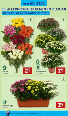 Aldi - Folder week 44 - Voorbeeld van een folder van Aldi, geldig van 27.10.2025 | Pagina: 33 | Producten: Kan, Bloemen