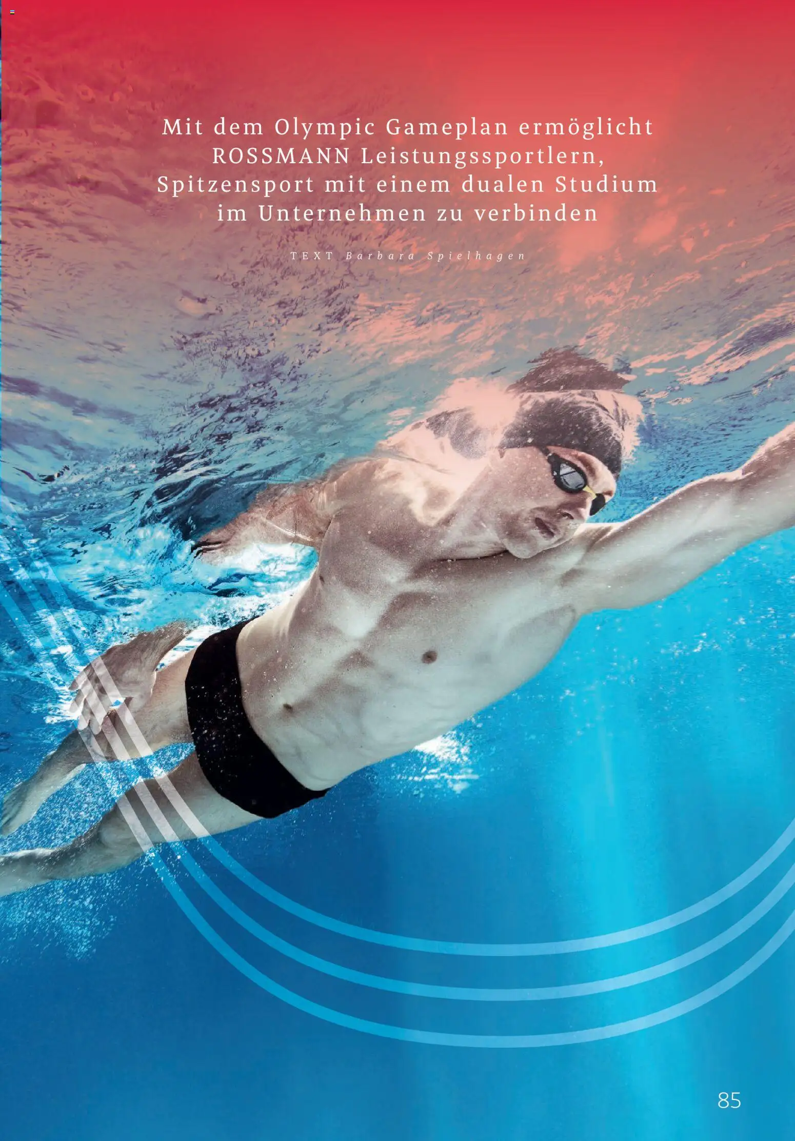 Rossmann Centaur – gültig ab 01.02.2026 | Seite: 85 | Produkte: Top