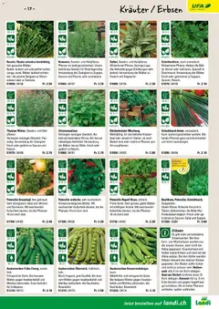 Landi ( Deaktivovane pre Letakomat )  Aktionen ab 07.01.2026 gültig | Seite: 19 | Produkte: Tee, Erbsen, Petersilie, Salat