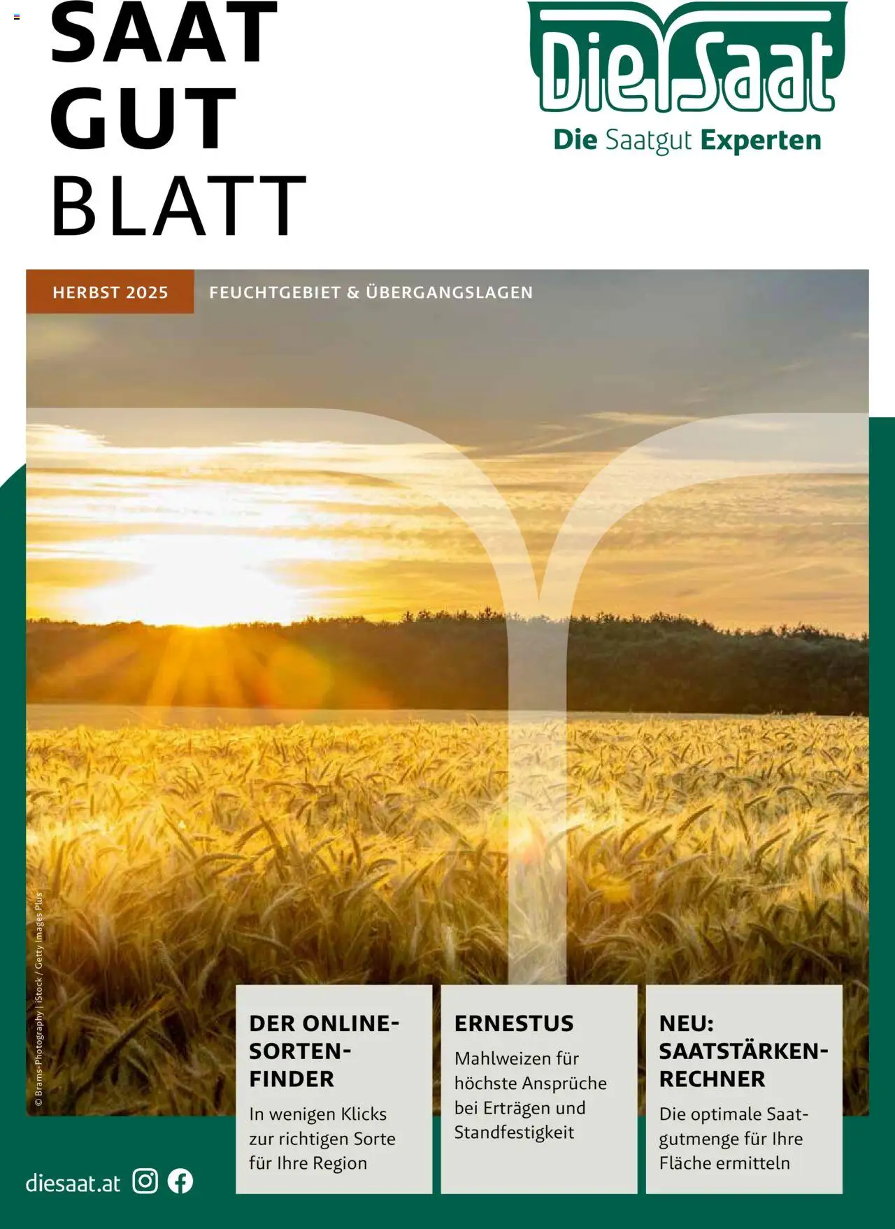 Lagerhaus Saatzeitung Herbst Feuchtgebiet gültig ab 01.09.2025 | Seite: 1