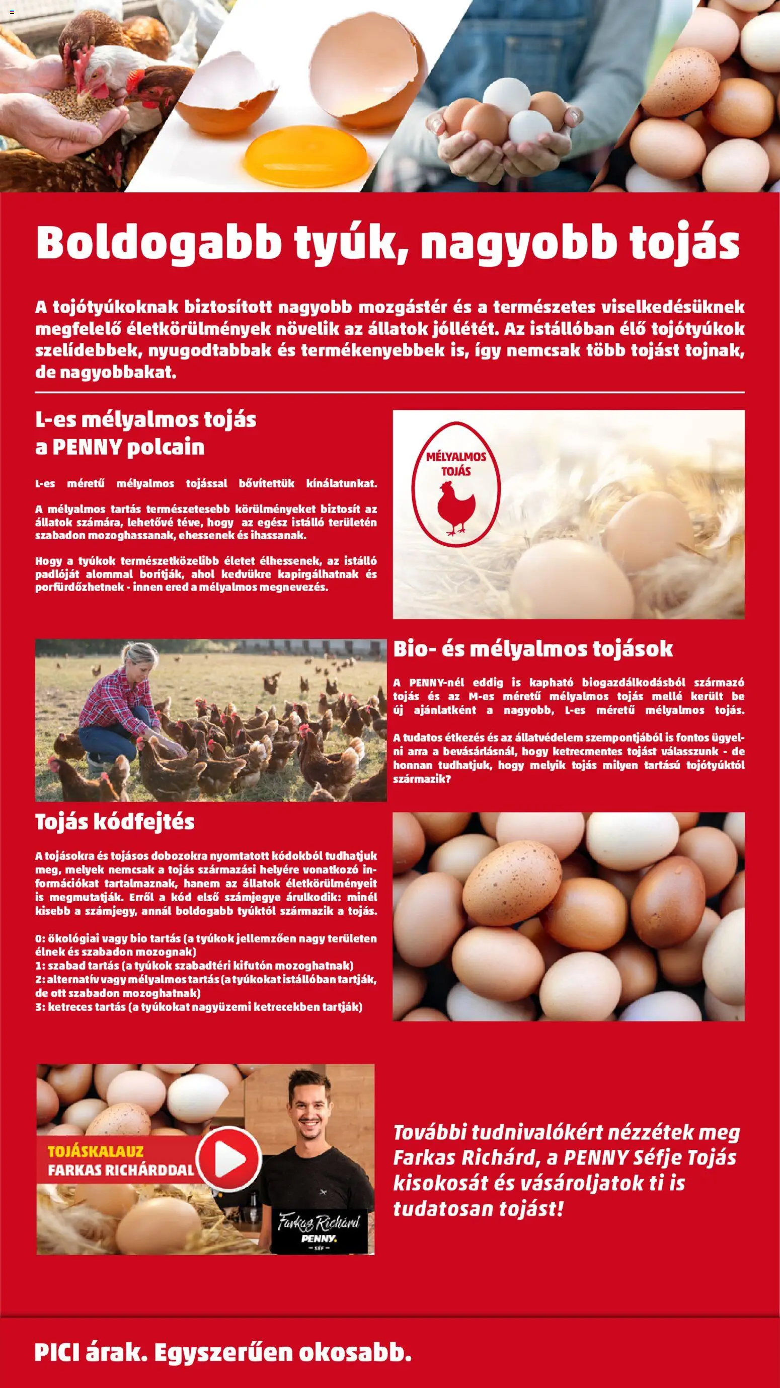 PENNY akciós ujság - amely érvényes a következő dátumtól: 20.11.2025 | Oldal: 42 | Termékek: Tojás