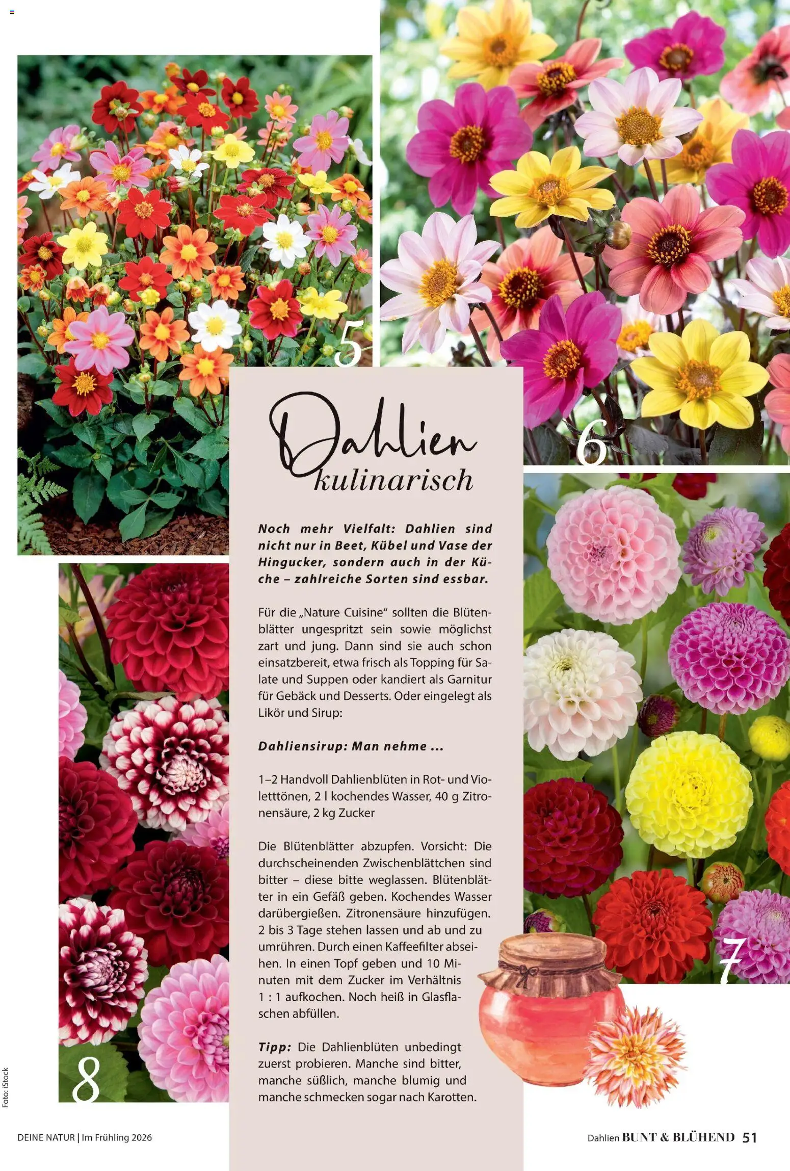 Dehner Flugblatt gültig ab 05.03.2026 | Seite: 51 | Produkte: Wasser, Zucker, Vase