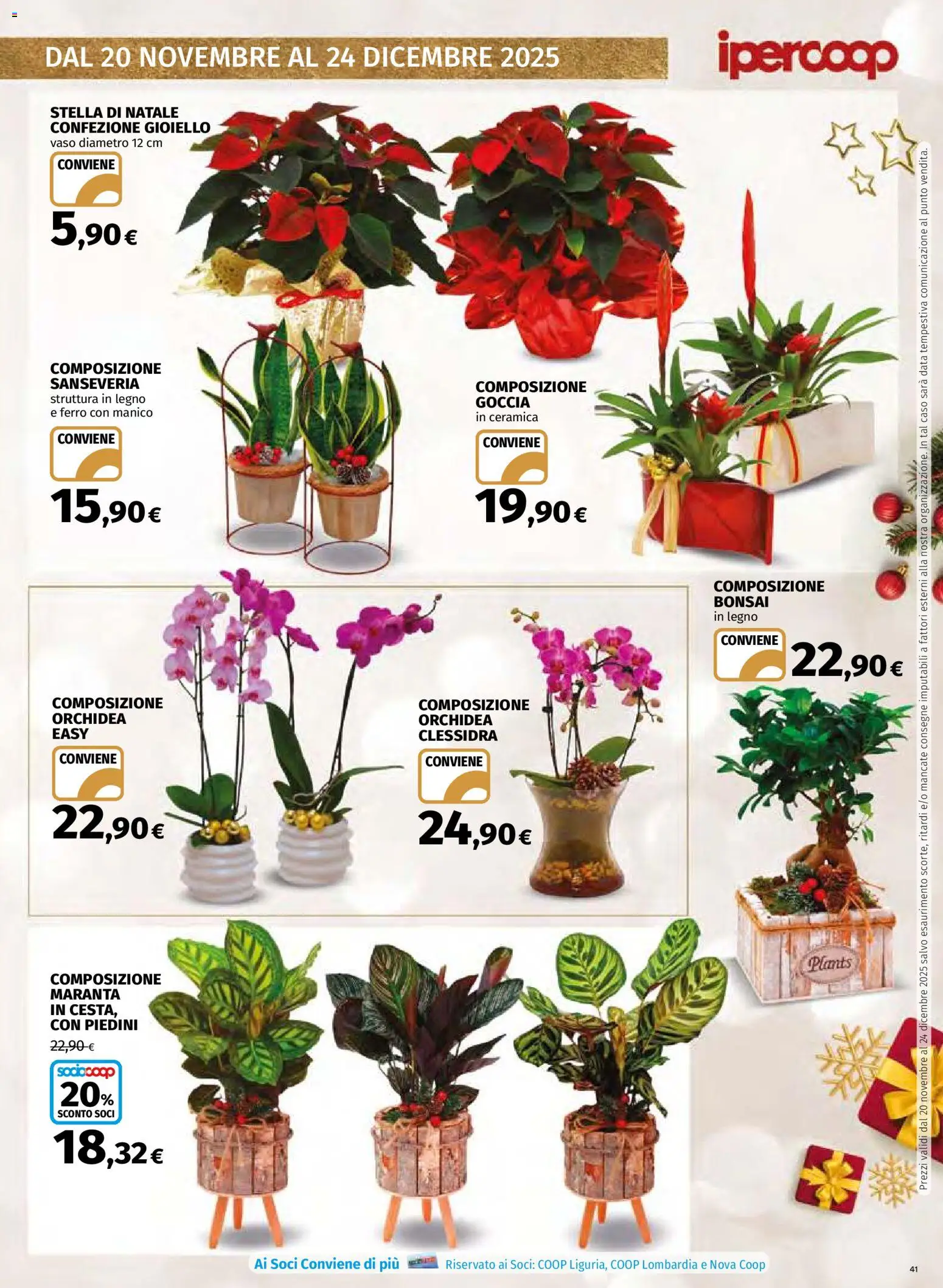 Volantino Ipercoop del 20.11.2025 | Pagina: 41 | Prodotti: Data, Orchidea, Vaso