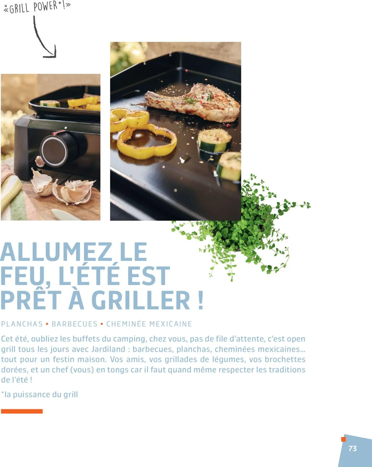 {H1} | Page: 73 | Produits: Grill, Tongs