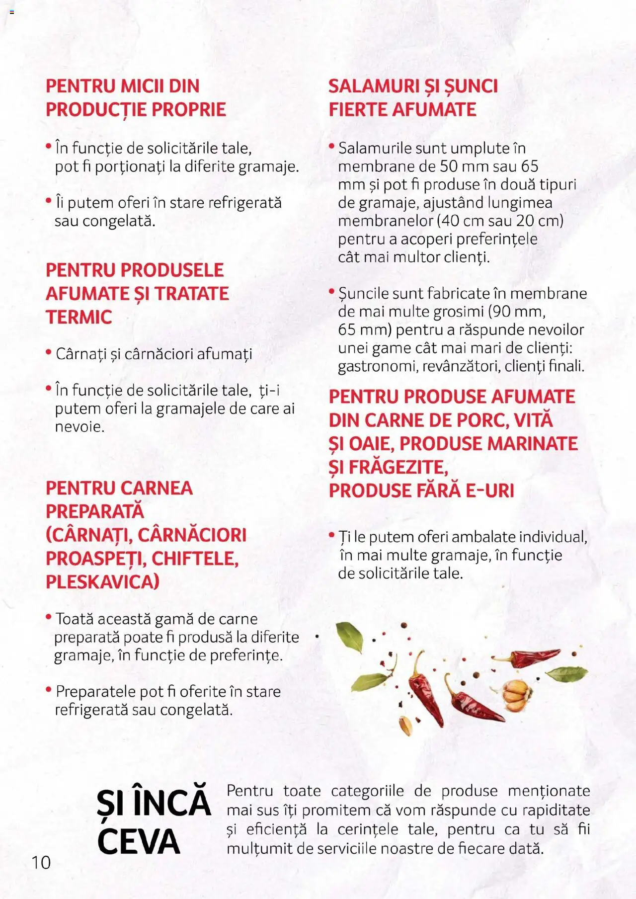 Catalog Selgros - Carne – valabil de la 27.04.2023 | Pagină: 10 | Produse: Cârnați