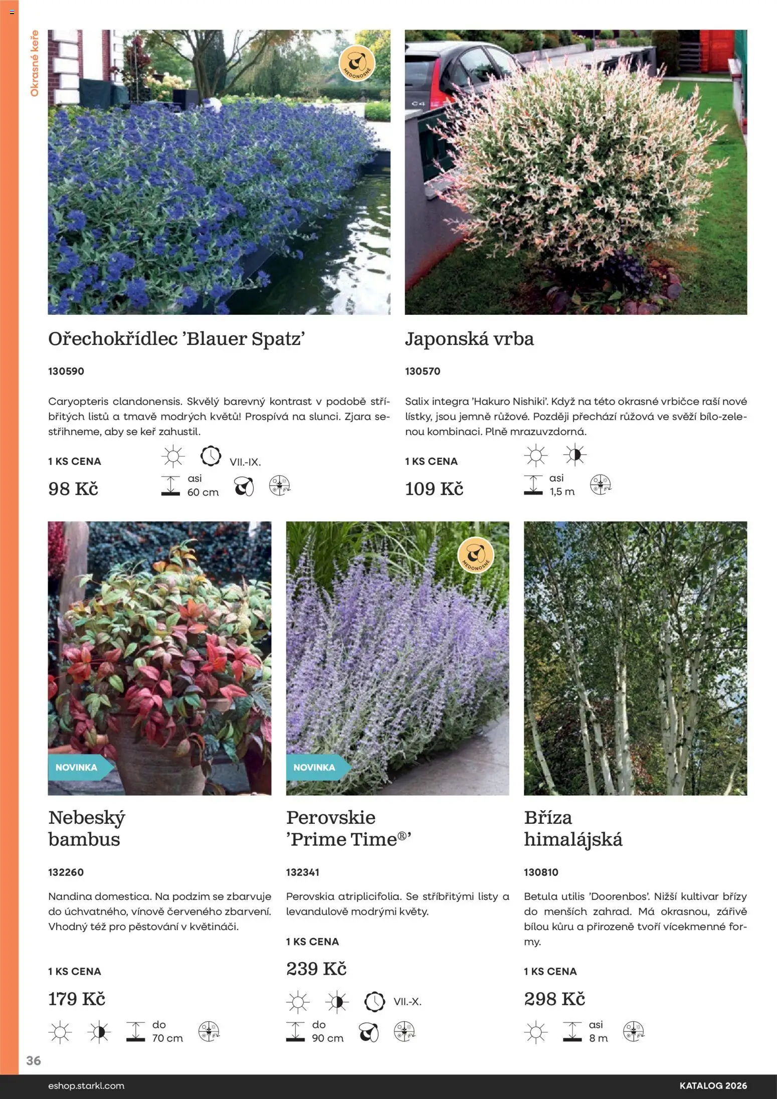 Starkl katalog od 25.02.2026 | Strana: 36
