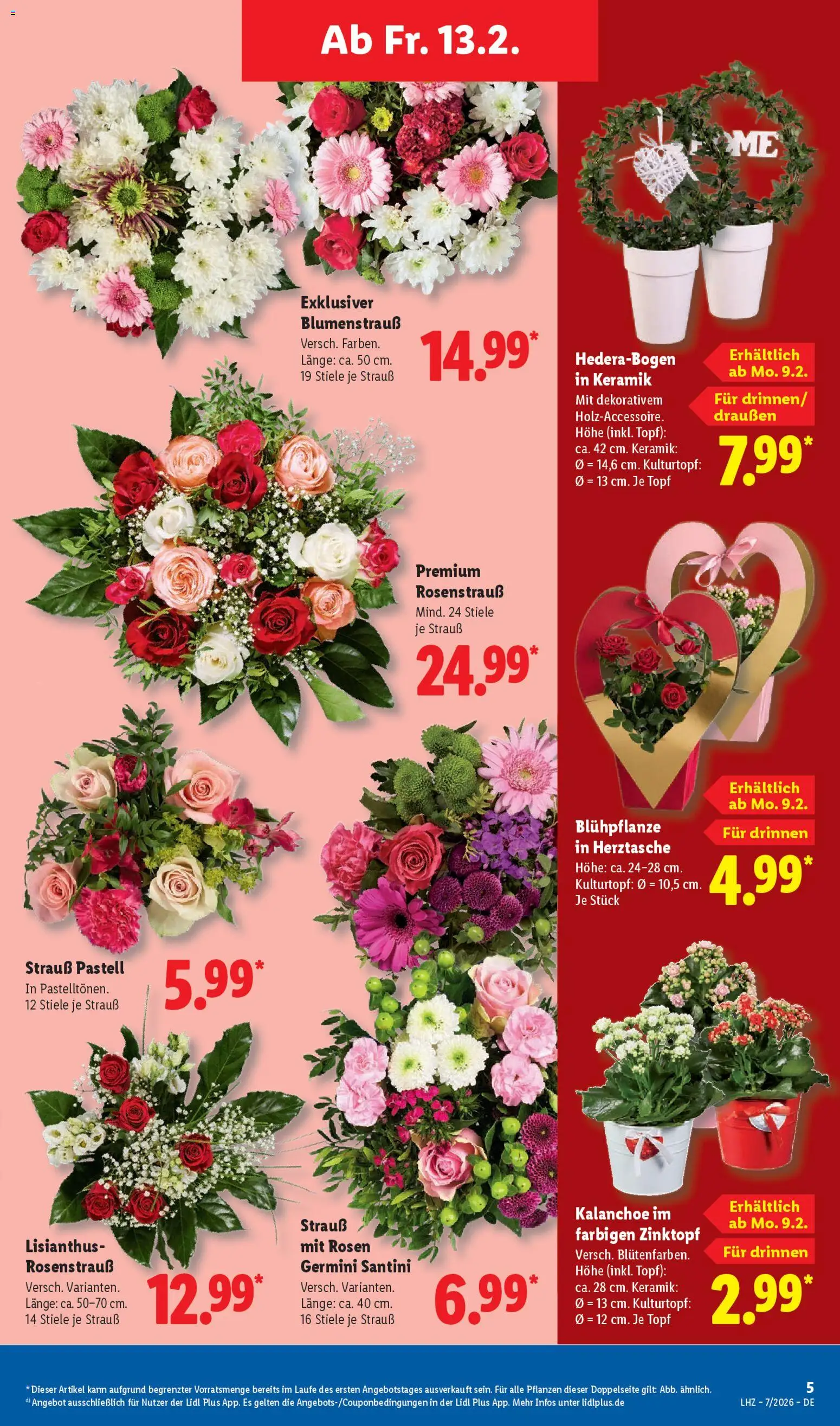 Lidl Prospekt Solingen – gültig ab 09.02.2026 | Seite: 15