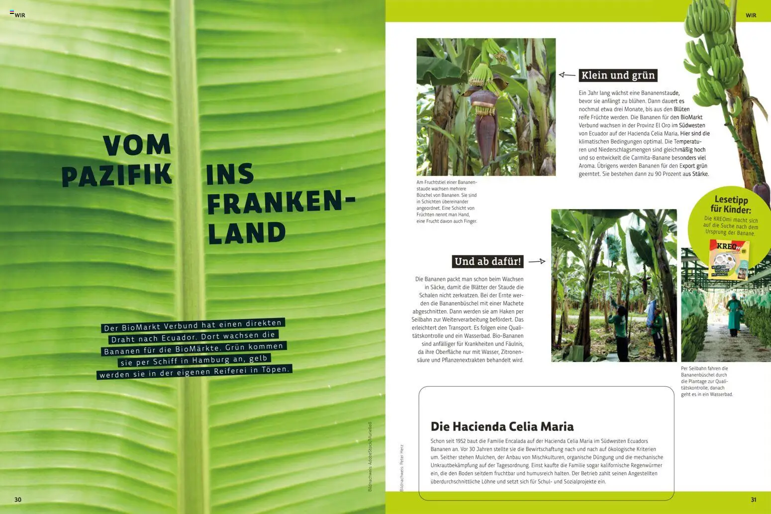 Denns BioMarkt  KREO Magazin gültig ab 16.01.2026 | Seite: 16 | Produkte: Bananen