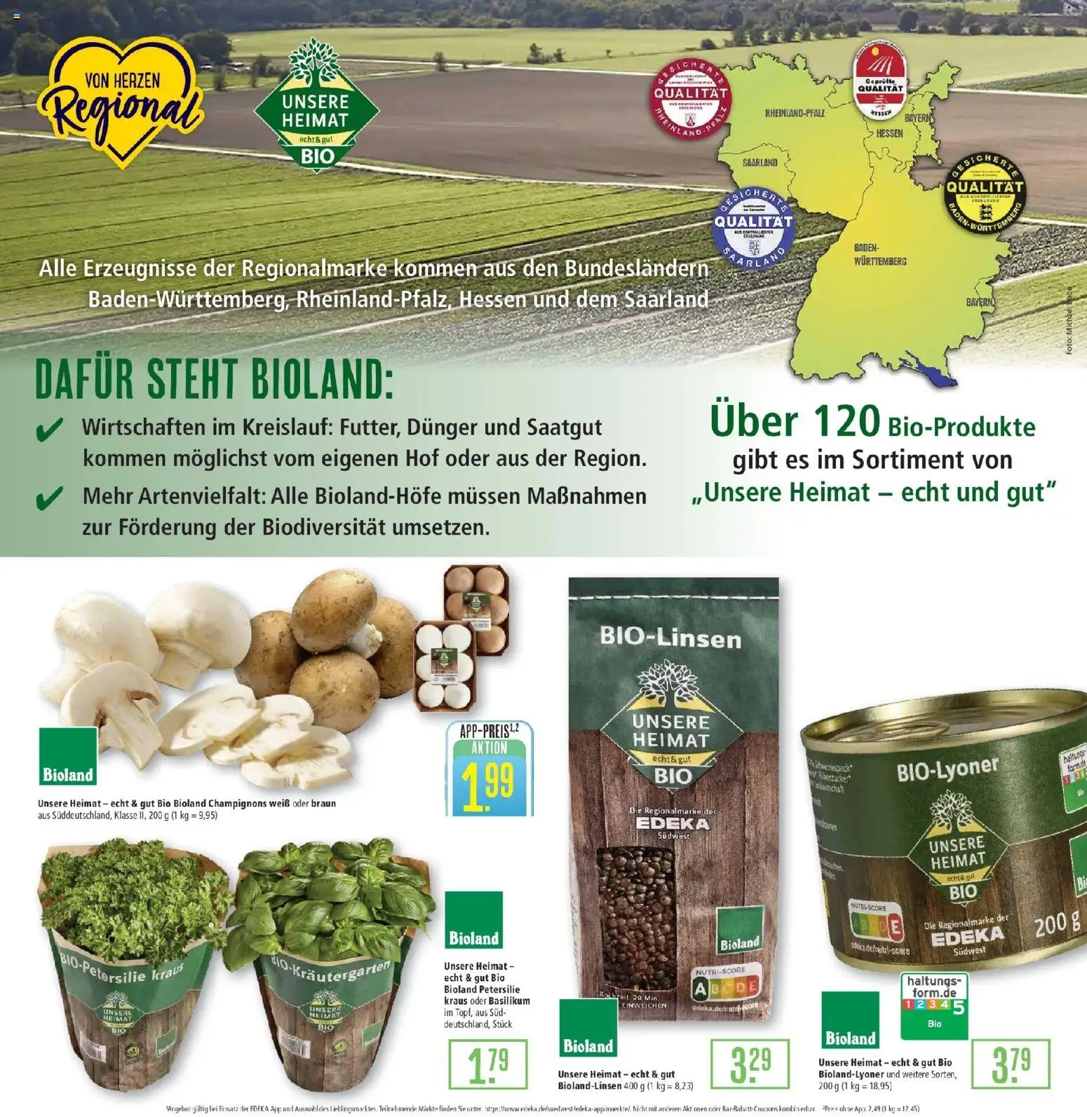 Marktkauf Prospekt Friedrichshafen  – gültig ab 09.03.2026 | Seite: 9 | Produkte: Champignons, Petersilie