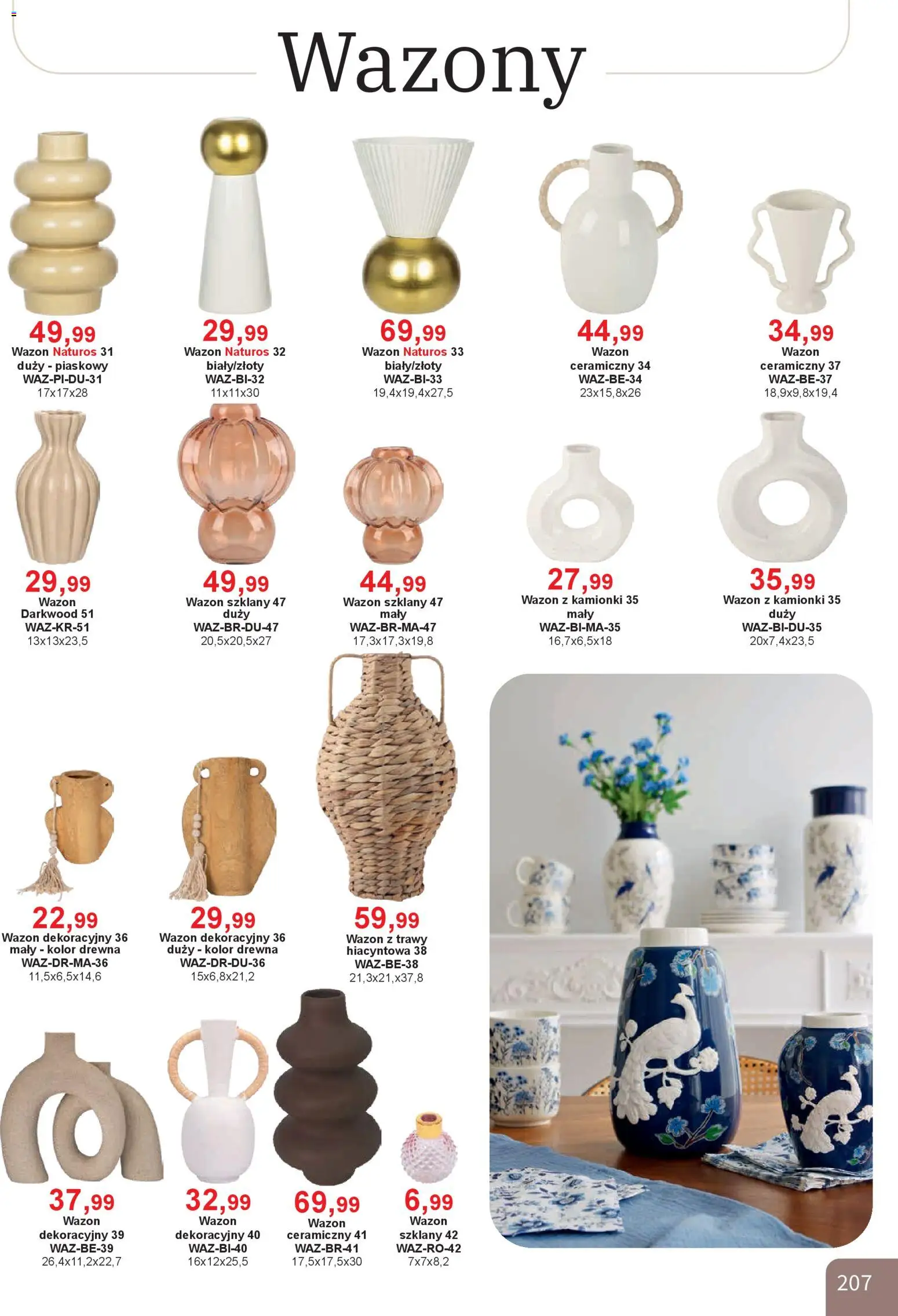 Bodzio Katalog od 01.01.2026 | Strona: 207 | Produkty: Trawy, Wazon