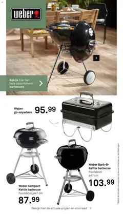 KARWEI - Barbecue special - Voorbeeld van een folder van KARWEI, geldig van 03.03.2025 | Pagina: 8