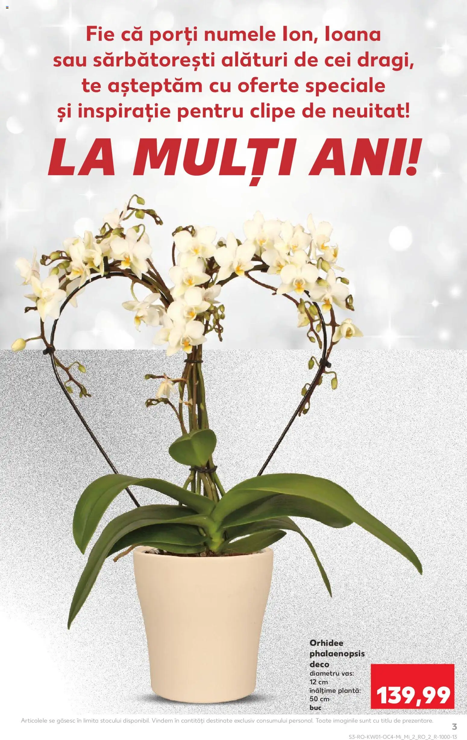 Noul catalog Kaufland – valabil de la 31.12.2025 | Pagină: 3 | Produse: Orhidee
