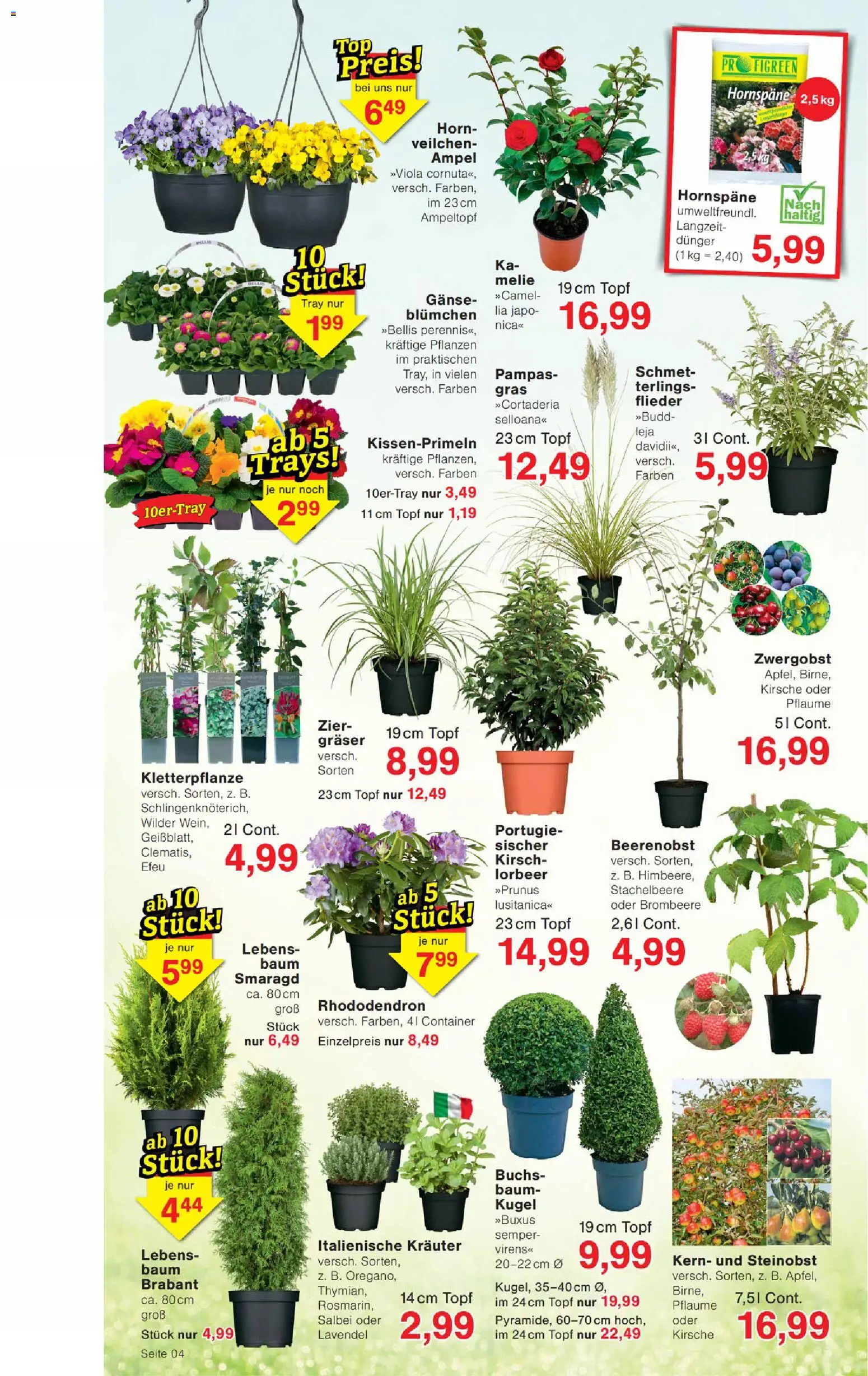 Wiglo Wunderland Prospekt – gültig ab 09.03.2026 | Seite: 4 | Produkte: Himbeere, Lavendel