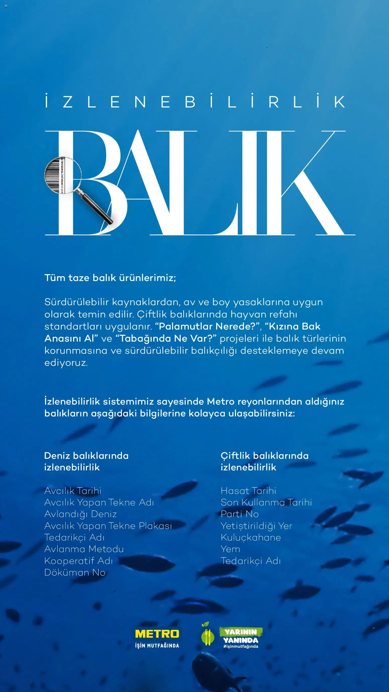 Metro - Sürdürülebilir Ürünler Kataloğu - 28.07.2025 tarihinden itibaren geçerlidir | Sayfa: 24 | Ürünler: Balık