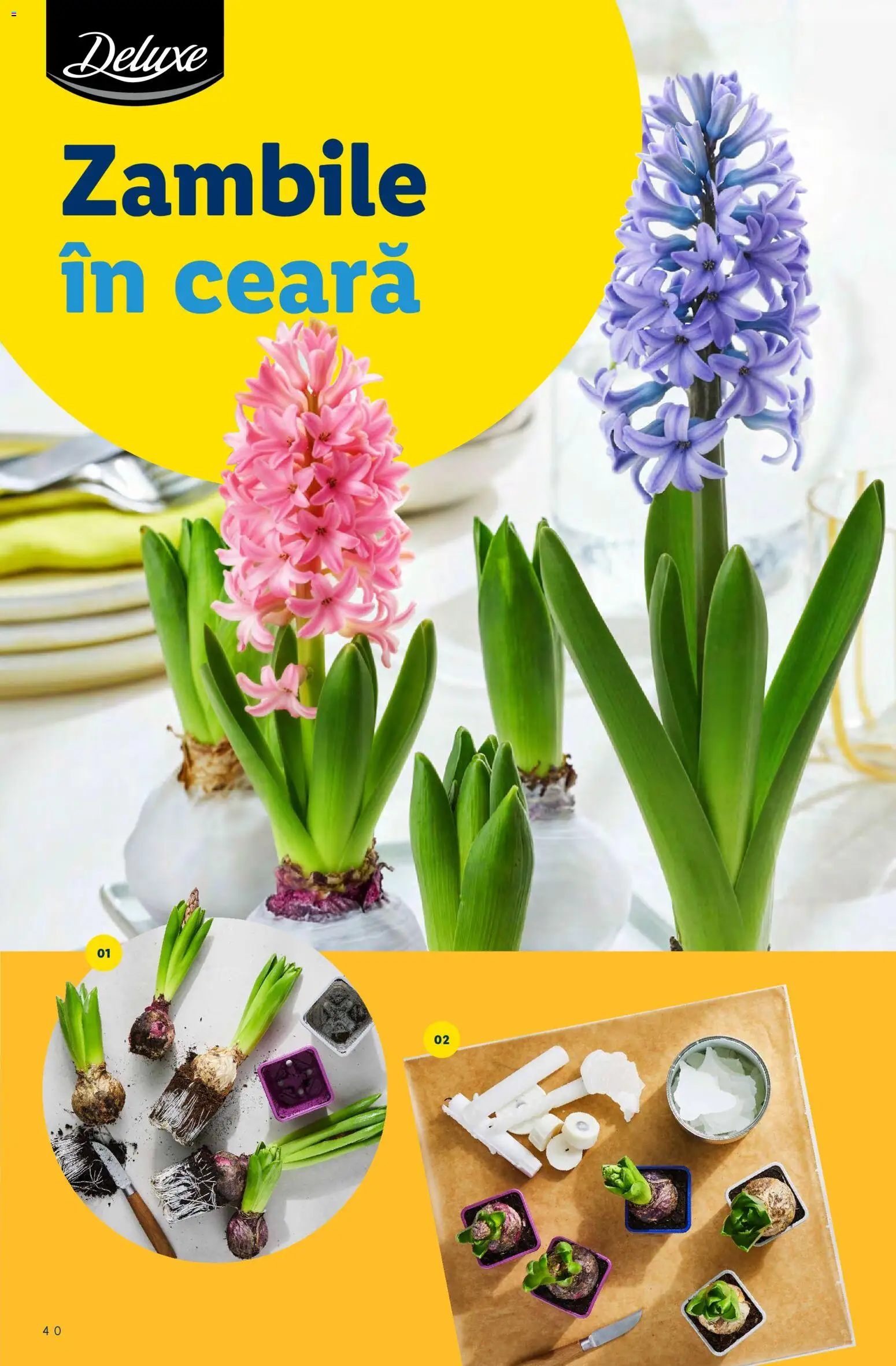 Noul catalog Lidl – valabil de la 02.03.2026 | Pagină: 40