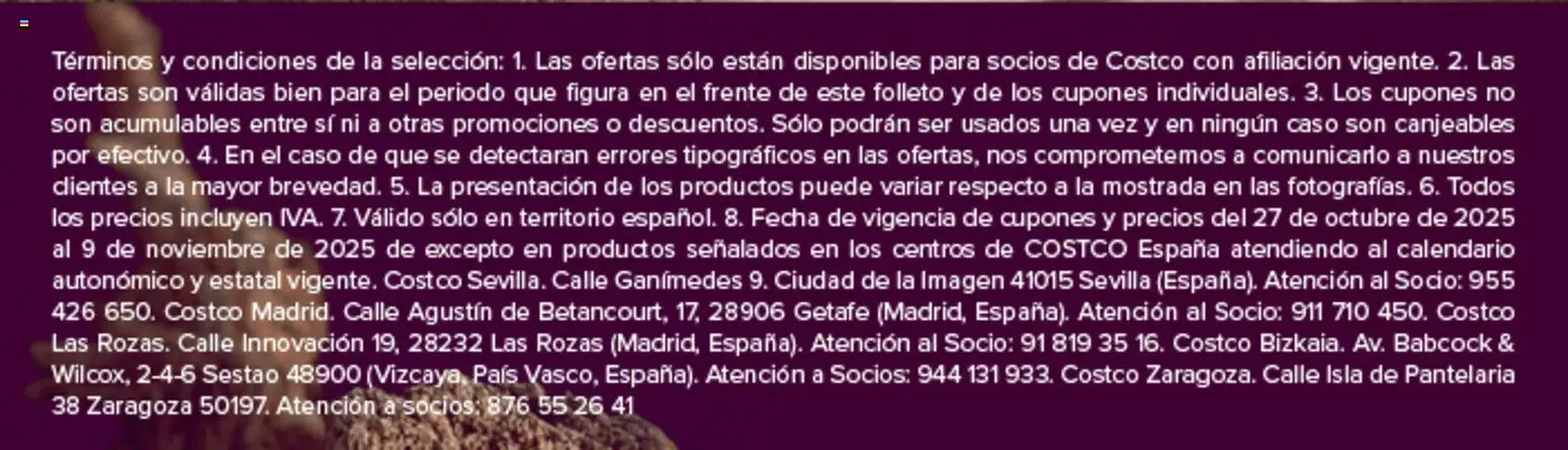 Costco catálogo │ válido desde el 27.10.2025 | Página: 6