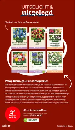 Welkoop - Folder - Voorbeeld van een folder van Welkoop, geldig van 20.10.2025 | Pagina: 33