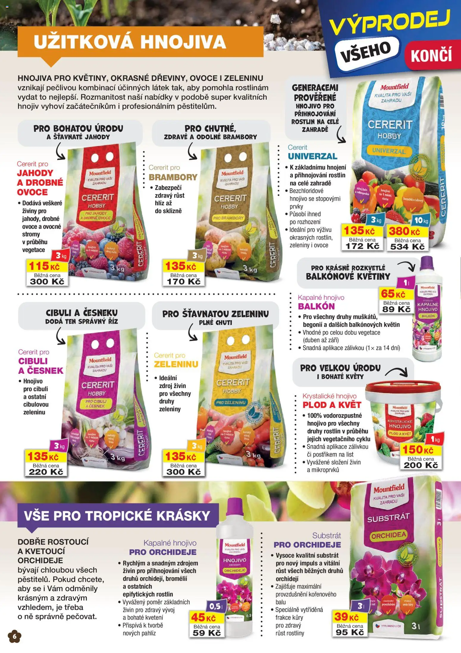 Mountfield leták od 01.03.2026 | Strana: 6 | Produkty: Jahody, Brambory, Rostliny, Květiny