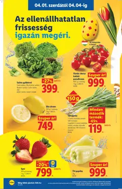 Saláta gyökérrel, Fejes saláta / Multicolor saláta / Batávia saláta / Lollo saláta /db - amely érvényes a következő dátumtól: 01.04.2026 | Oldal: 4