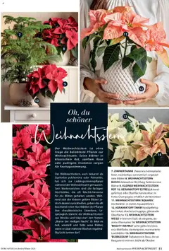 Dehner Prospekt Deine Natur ab 09.10.2025 gültig | Seite: 51