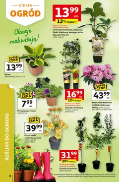 Pogląd oferty "Auchan gazetka - 30 Lat Hipermarket" - ważna od 29.04.2026 | Strona: 6 | Produkty: Rosliny, Drzewka owocowe