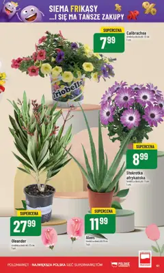 POLOmarket Gazetka od 11.06.2025 | Strona: 61