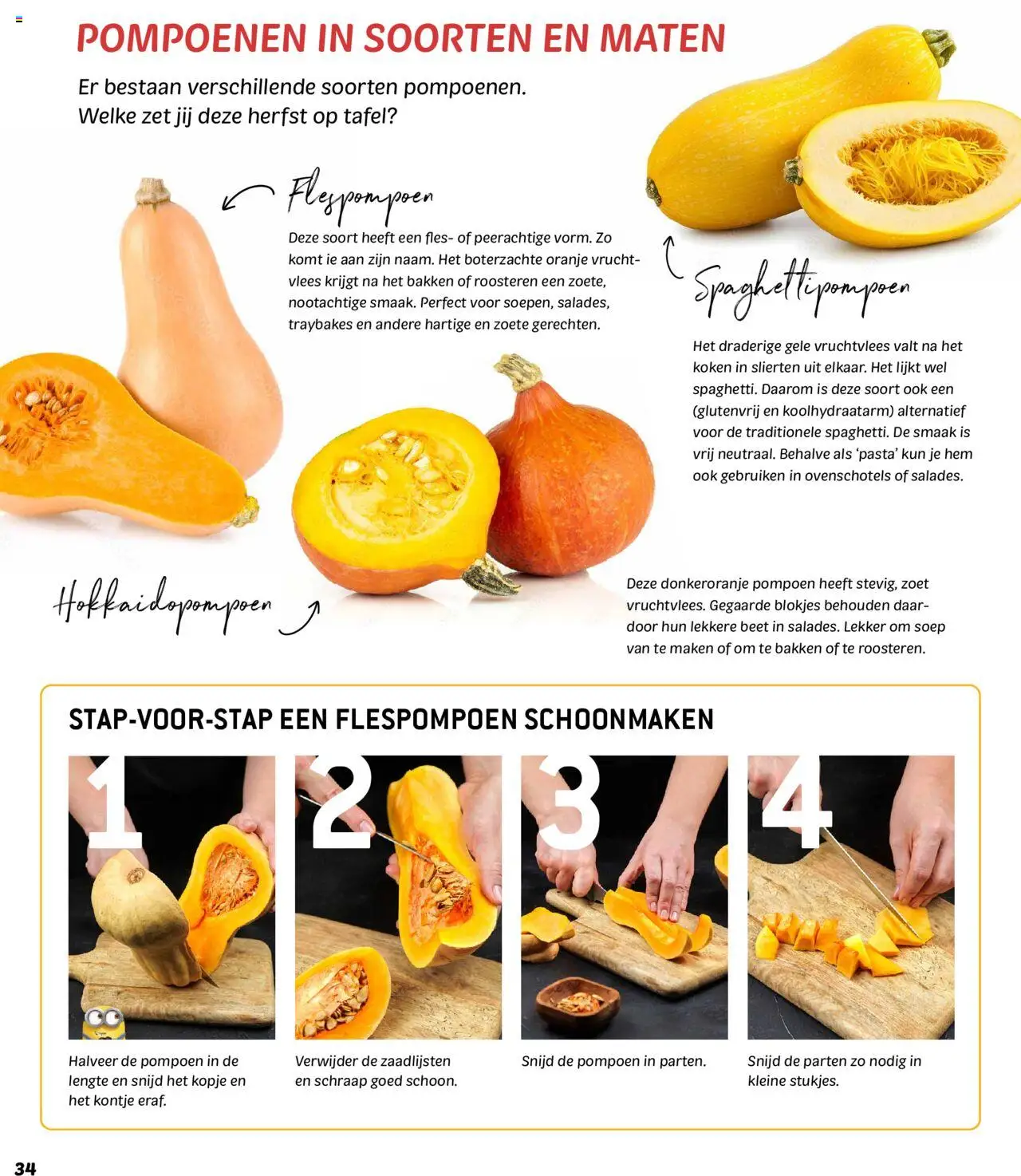 {H1} | Pagina: 34 | Producten: Pompoen, Kisperec, Fles, Tafel