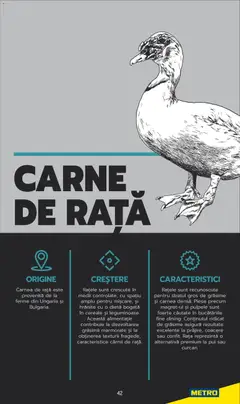 Ofertele Metro valabile de la 03.06.2025 | Pagină: 42