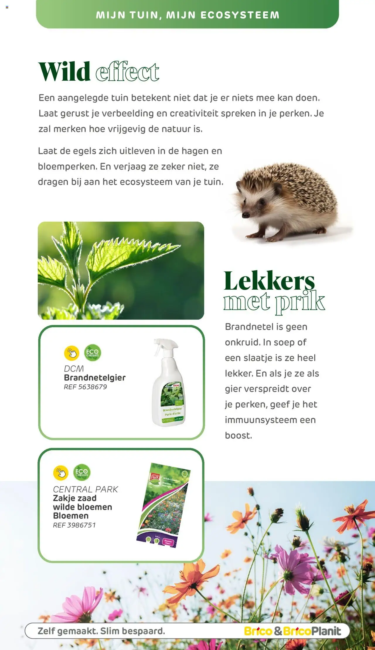  | Pagina: 162 | Producten: Bloemen, Kan