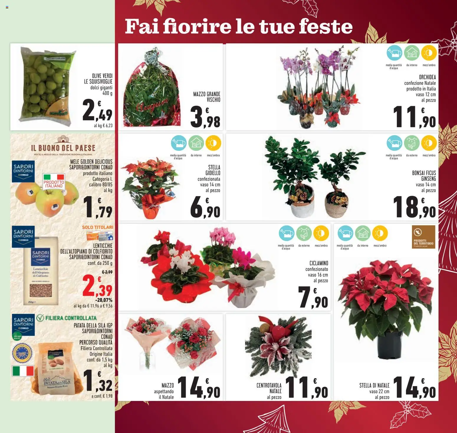 Volantino Conad del 10.12.2025 | Pagina: 15 | Prodotti: Mele, Lenticchie, Orchidea, Vaso