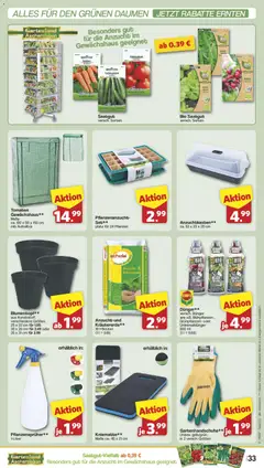 Famila Nordwest Prospekt 	 ab 08.02.2026 gültig | Seite: 35 | Produkte: Blumentopf, Tomaten, Erbse, Salat