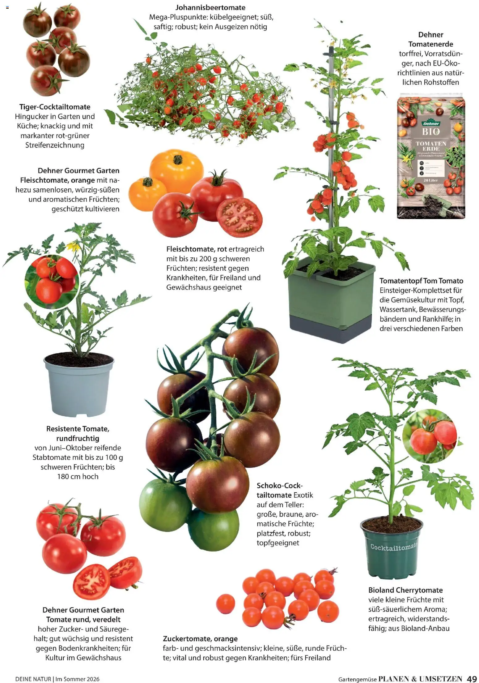 Dehner Prospekt 	 – gültig ab 17.04.2026 | Seite: 49 | Produkte: Tomaten, Zucker