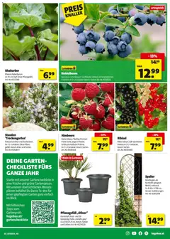 Hagebau Flugblatt ab 27.04.2026 gültig | Seite: 3 | Produkte: Himbeere