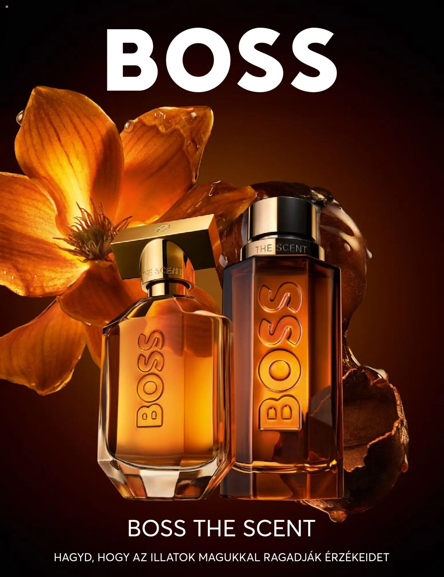 Müller akciós ujság - amely érvényes a következő dátumtól: 02.02.2026 | Oldal: 31