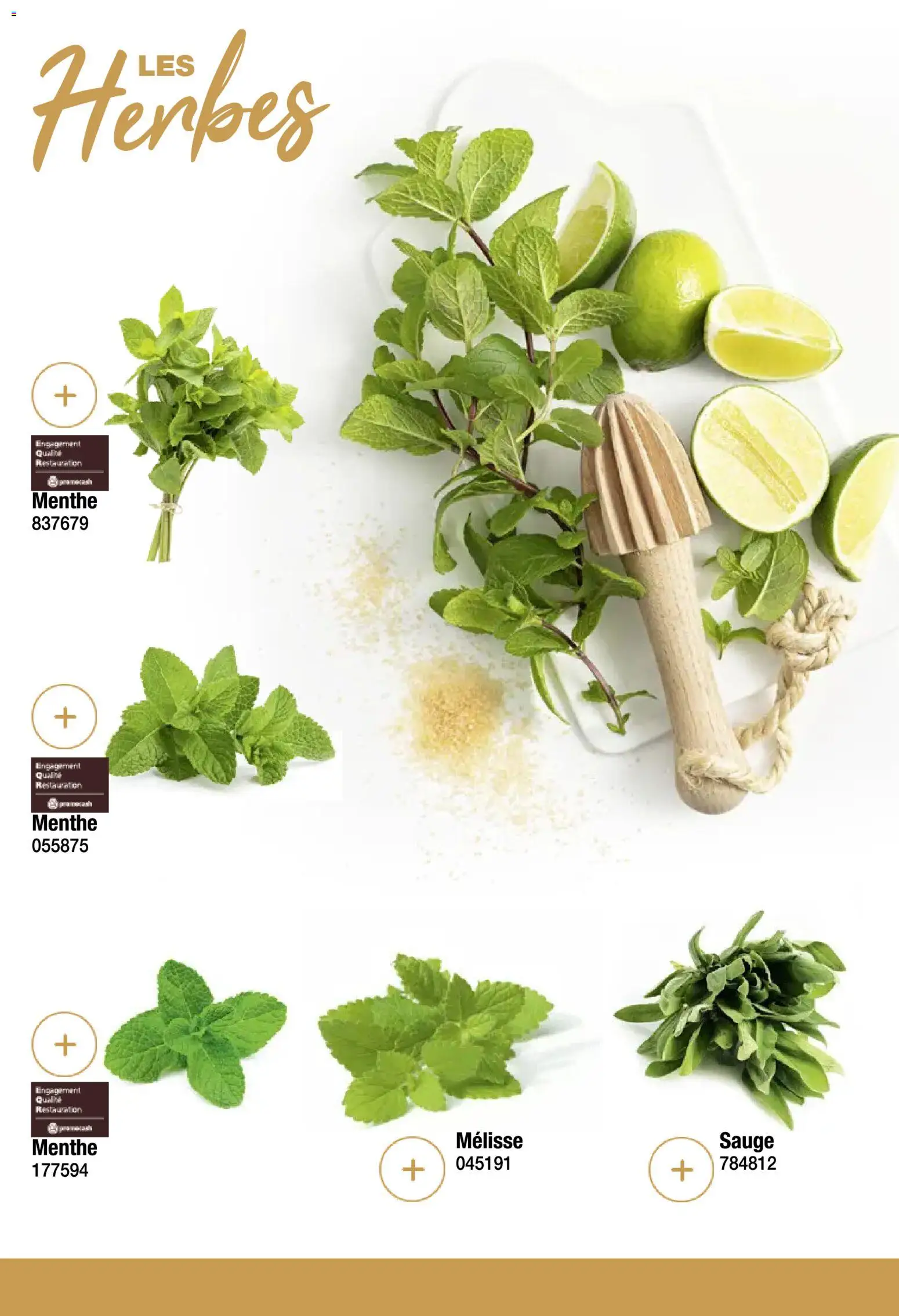 {H1} | Page: 47 | Produits: Menthe