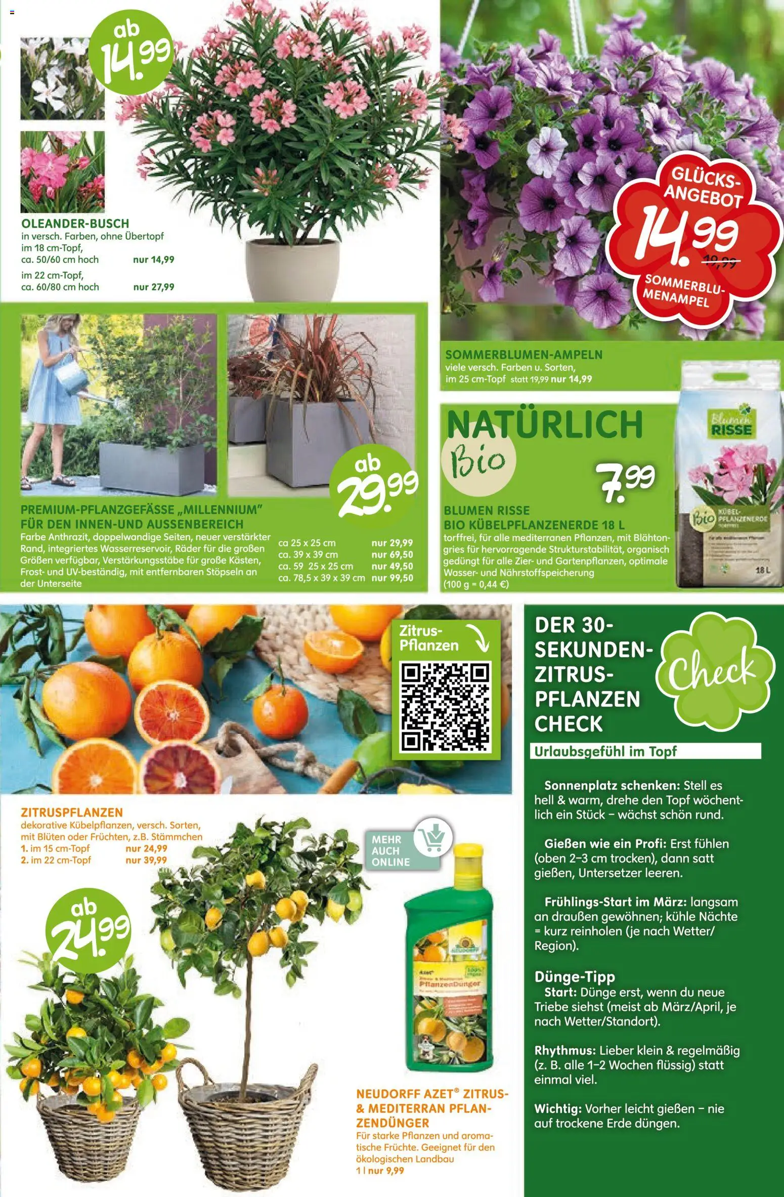 Blumen Risse Prospekt Blumenmarkt – gültig ab 16.04.2026 | Seite: 7 | Produkte: Blumen, Wasser