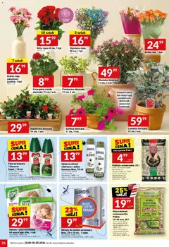 Pogląd oferty "Twój Market gazetka" - ważna od 28.04.2026 | Strona: 26 | Produkty: Karta, Doniczka