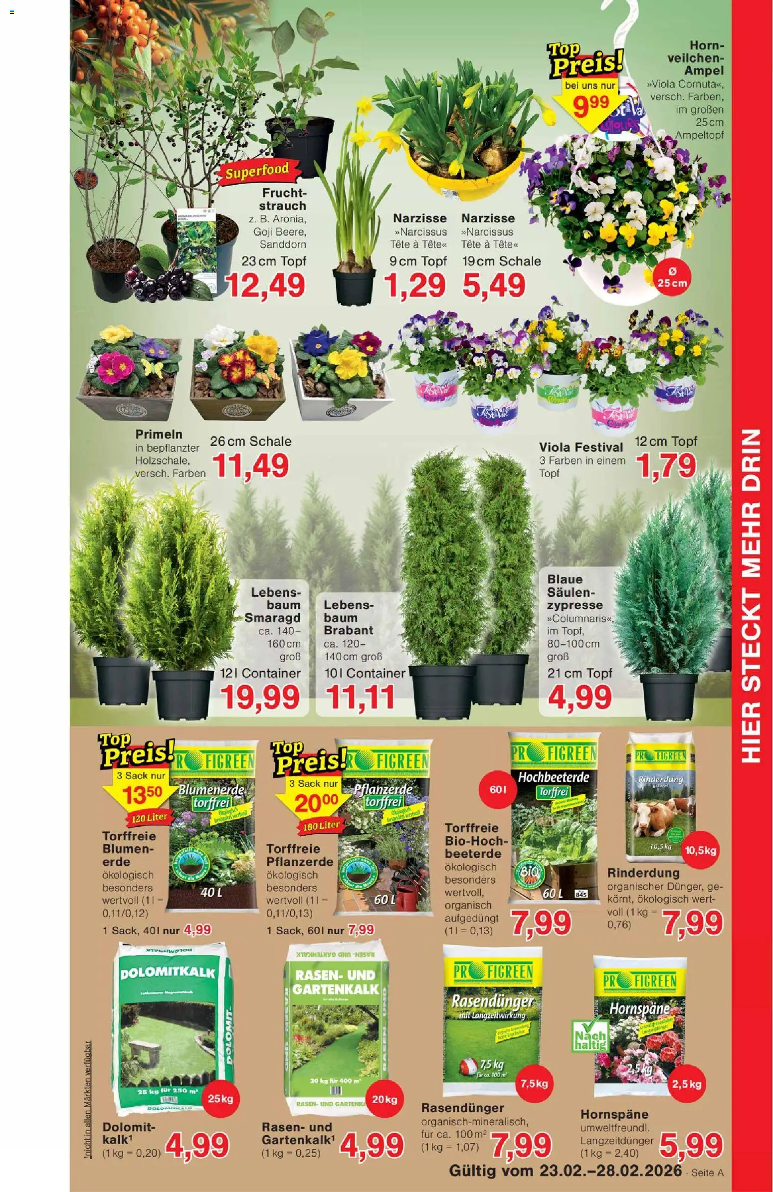 Wiglo Wunderland Prospekt – gültig ab 23.02.2026 | Seite: 5 | Produkte: Pflanzerde, Blumen, Blumenerde